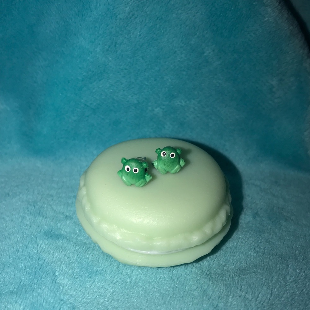 Cutesy Froggie Polymer Earrings in Macaron Case